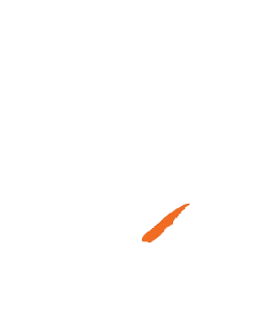 Next Gaming
